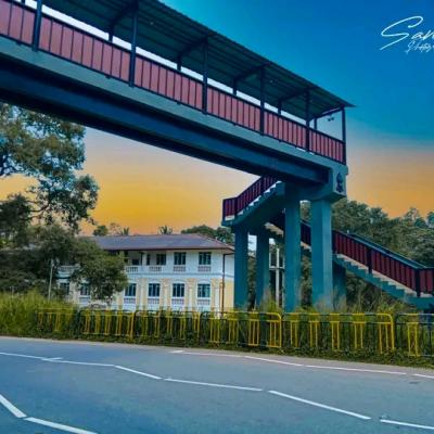 පාසල් ගැලරිය